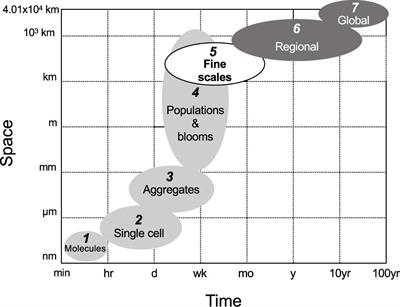 Bridging the Spatiotemporal Gap in Diazotroph Activity and Diversity With High-Resolution Measurements